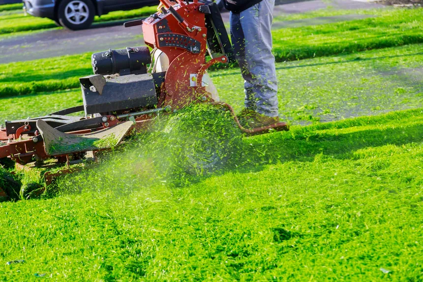 Preparing your lawn for your vacation