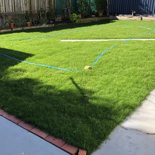 Re-turfing a backyard, photo 3