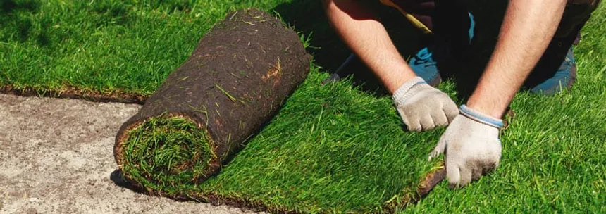 Laying Turf: Everything You Need To Know