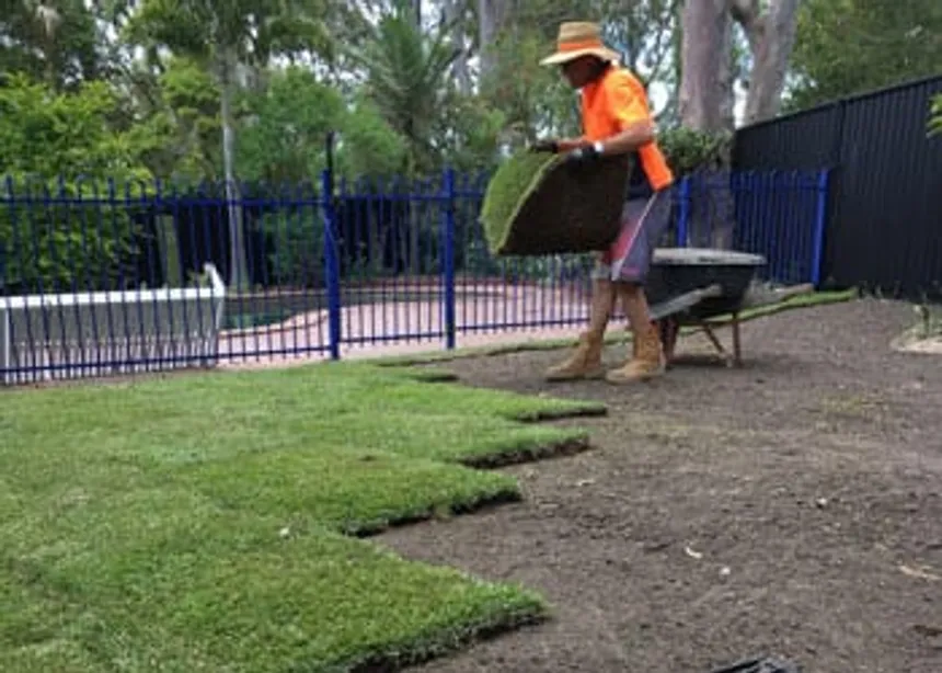 Choosing the best turf for Brisbane? Here’s what you need to know
