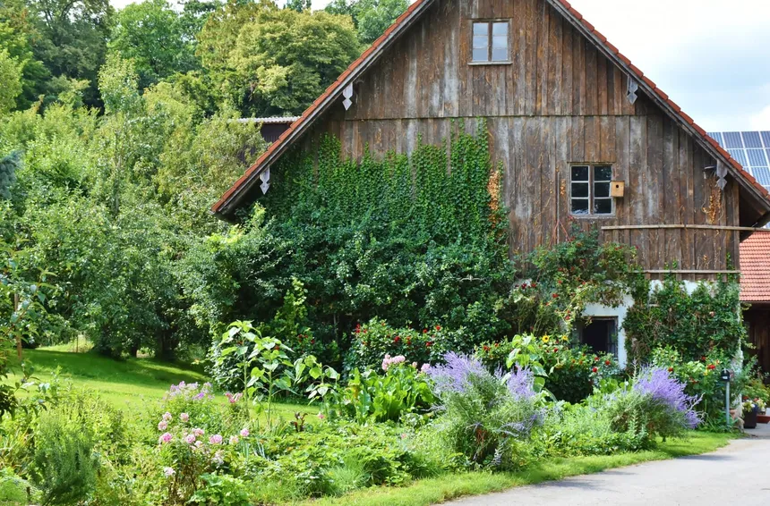 5 tips for a weed-free lawn and garden