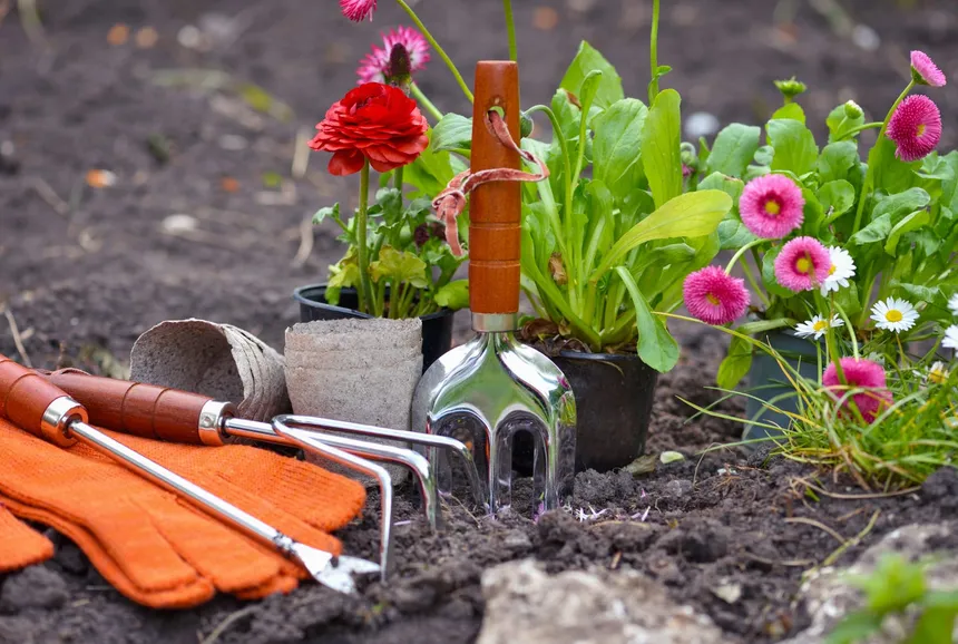 5 Reasons Why Gardening is Good For You