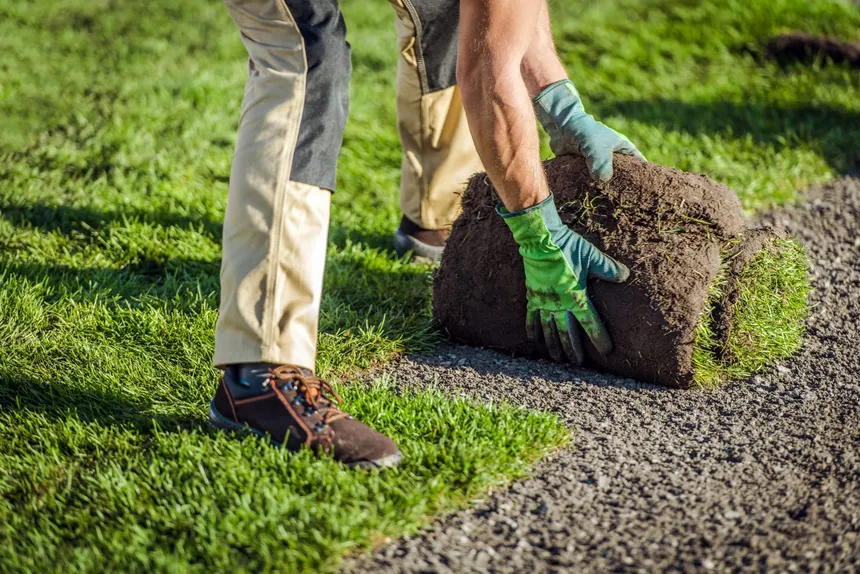 5 Ways to prevent lawn disease