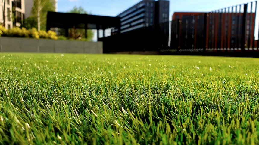Winter lawn care: What you need to know