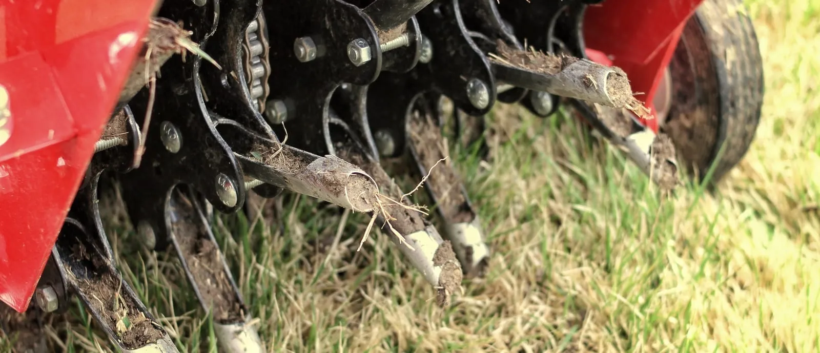 lawn-aerator