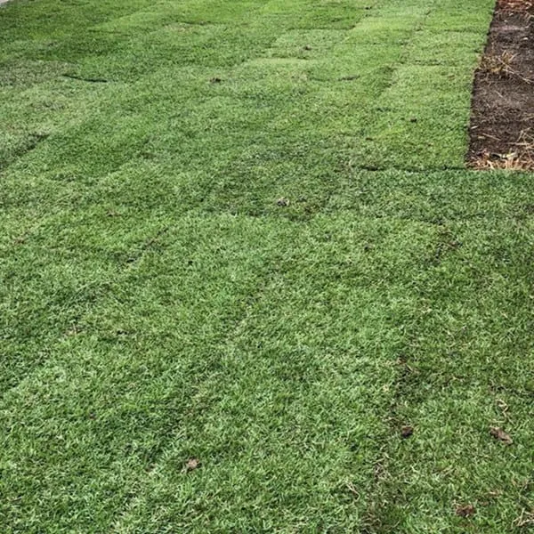 New home: whole package turfing, photo 1