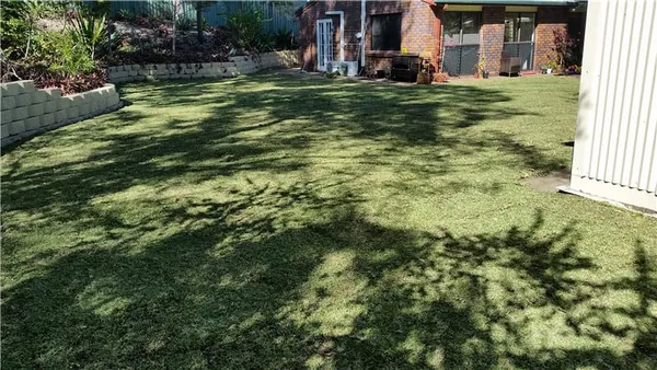 Old house: site preparation and new turf, photo 1