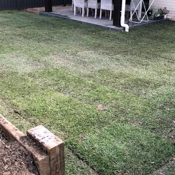 New home turfing, photo 1