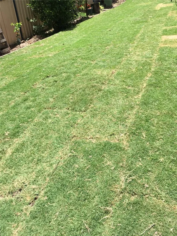 Whole package re-turfing, photo 1