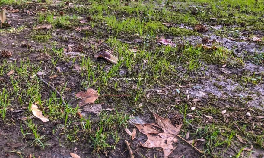 The Importance of Proper Site Preparation for Laying Turf!