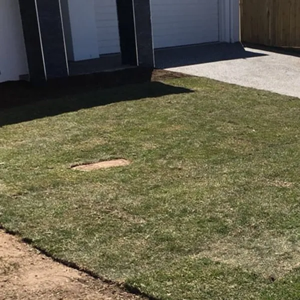New home turfing (2017), photo 2