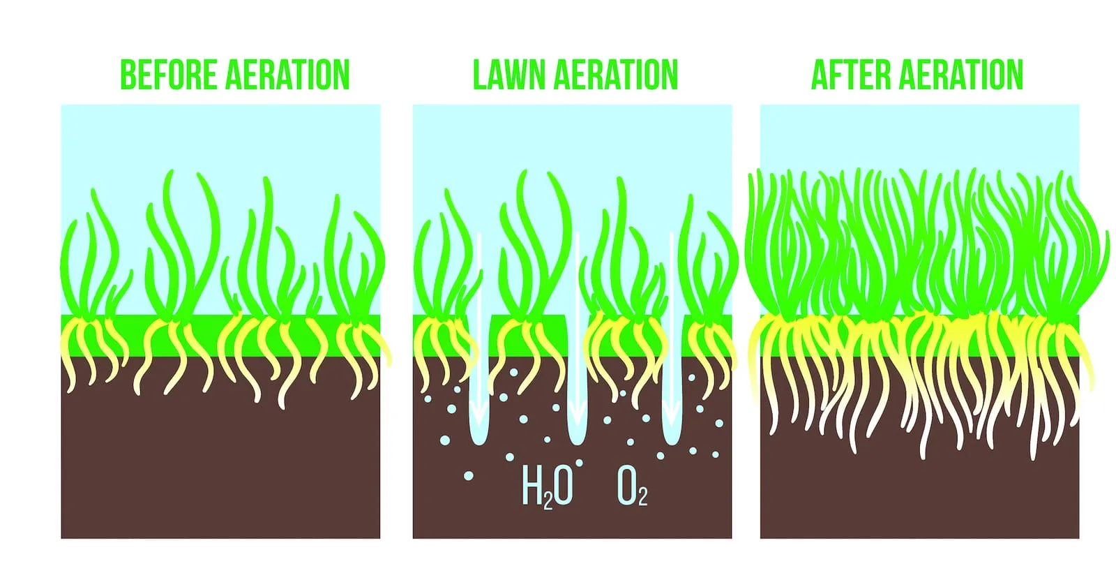 process-lawn-aeration