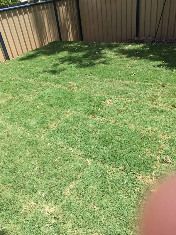 Whole package re-turfing, photo 2