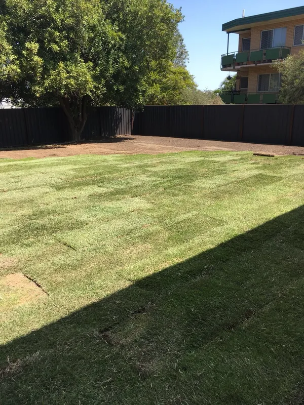 Turfing project, late 2017, photo 2