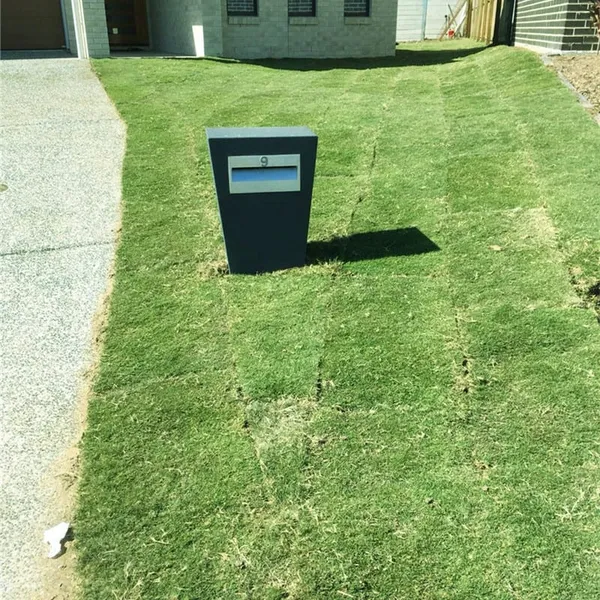 New home turfing (job 2), photo 2