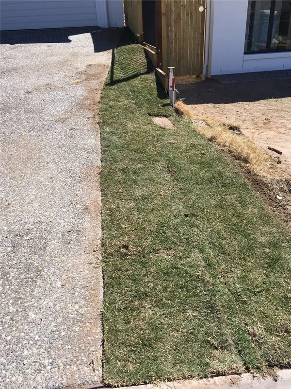 New home turfing (2017), photo 3