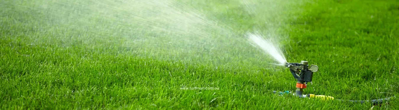 lawn care