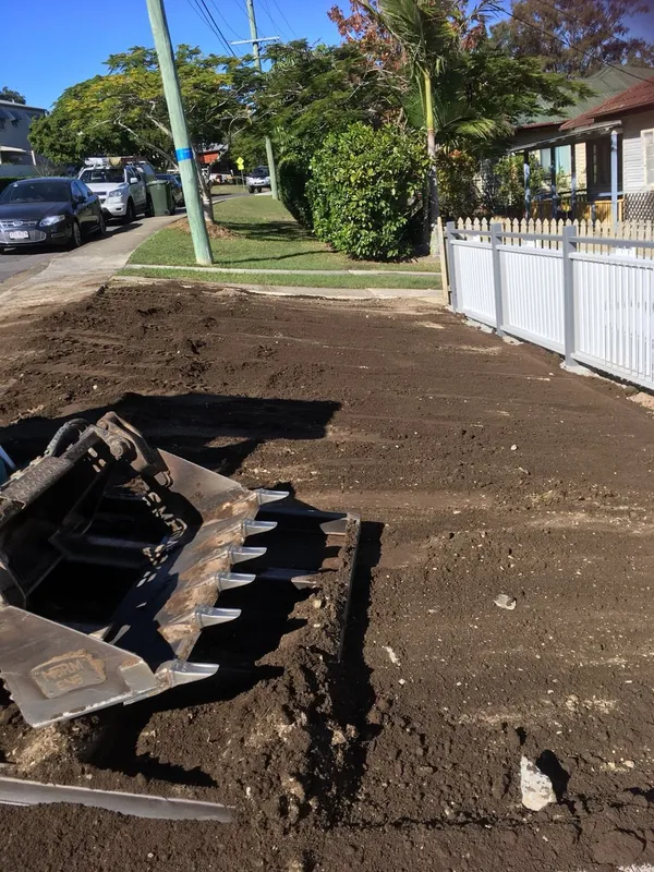 New house turfing with Empire Zoysia (job 2), photo 4