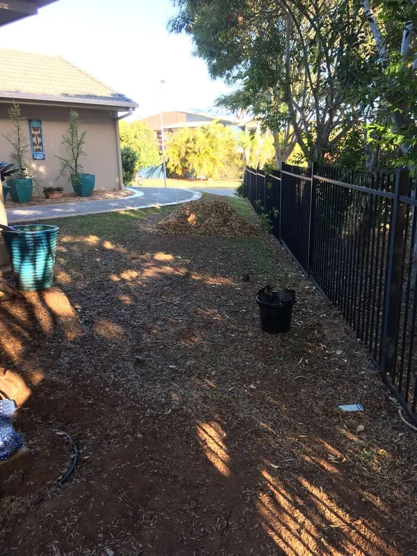 Re-turfing with Empire Zoysia, photo 4