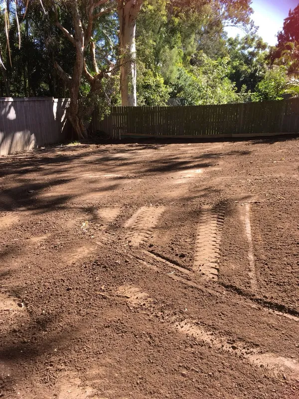 New house turfing with Empire Zoysia (job 2), photo 5