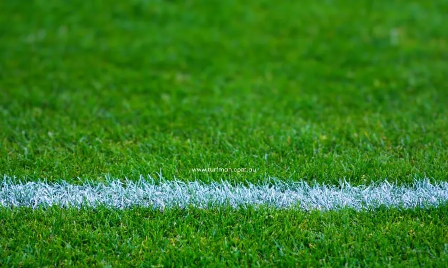 The Importance of Proper Site Preparation for Laying Turf!