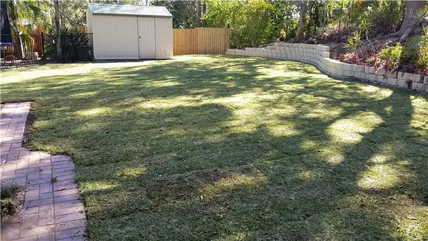 Old house: site preparation and new turf, photo 6