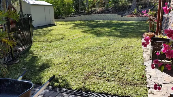 Old house: site preparation and new turf, photo 7