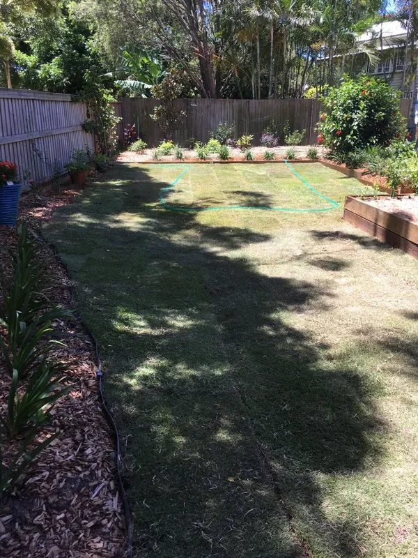 Re-turfing with Empire Zoysia, photo 9
